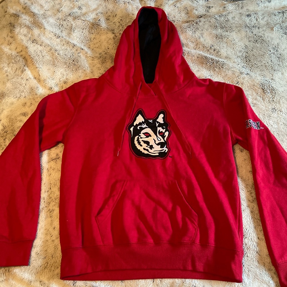 vintage northeastern hoodie